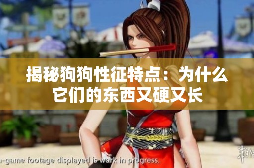 揭秘狗狗性征特点：为什么它们的东西又硬又长