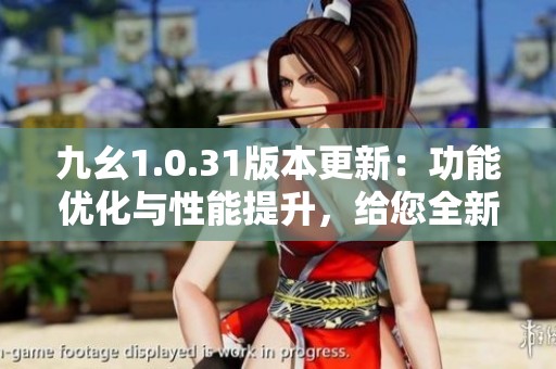 九幺1.0.31版本更新：功能优化与性能提升，给您全新游戏体验
