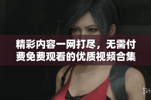 精彩内容一网打尽，无需付费免费观看的优质视频合集