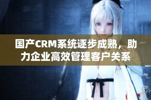 国产CRM系统逐步成熟，助力企业高效管理客户关系
