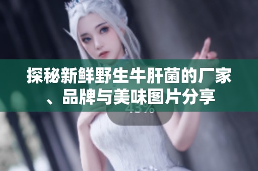 探秘新鲜野生牛肝菌的厂家、品牌与美味图片分享